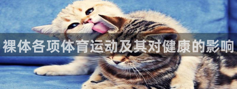 谈球吧体育官网：裸体各项体育运动及其对健康的影响
