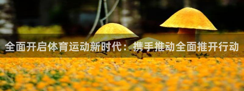 谈球吧体育官网：全面开启体育运动新时代：携手推动全面推开行动