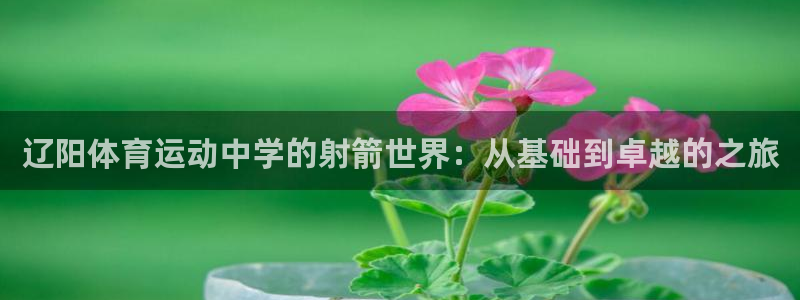 谈球吧