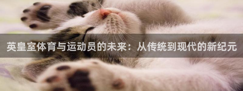 谈球吧体育官网