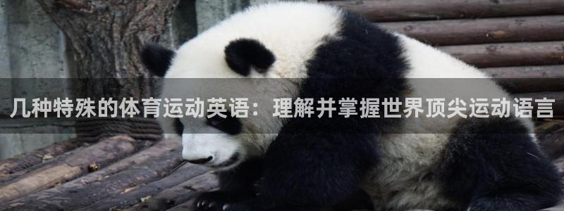 谈球吧体育官网