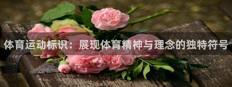 谈球吧