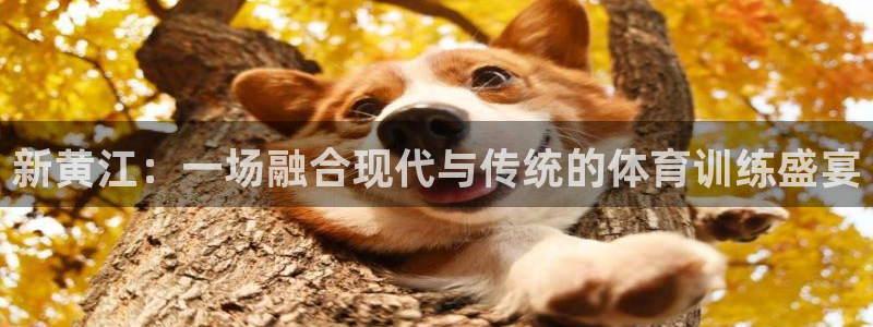 谈球吧体育：新黄江：一场融合现代与传统的体育训练盛宴