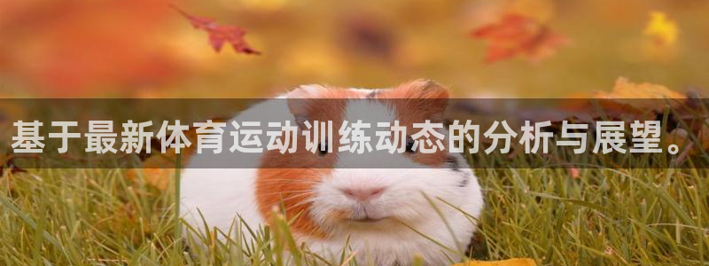 谈球吧体育：基于最新体育运动训练动态的分析与展望。