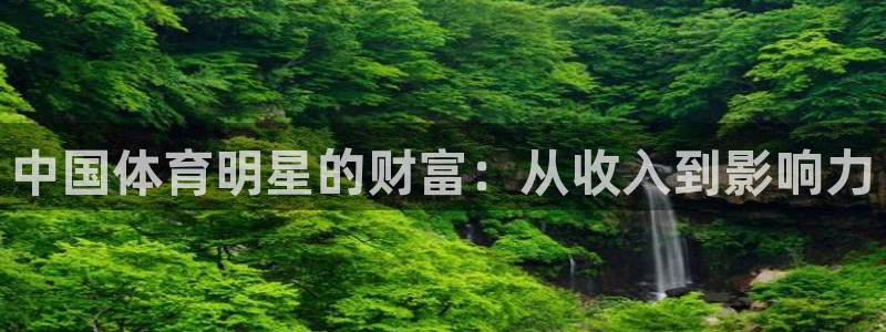 谈球吧：中国体育明星的财富：从收入到影响力