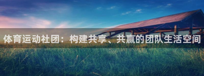 谈球吧：体育运动社团：构建共享、共赢的团队生活空间