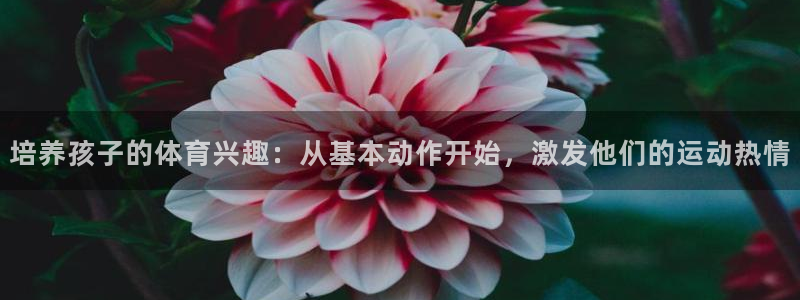谈球吧：培养孩子的体育兴趣：从基本动作开始，激发他们的运动热情