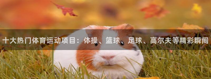 谈球吧体育：十大热门体育运动项目：体操、篮球、足球、高尔夫等精彩瞬间