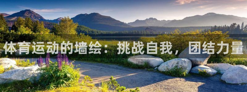 谈球吧体育：体育运动的墙绘：挑战自我，团结力量
