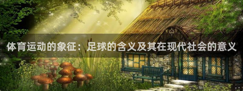 谈球吧体育：体育运动的象征：足球的含义及其在现代社会的意义