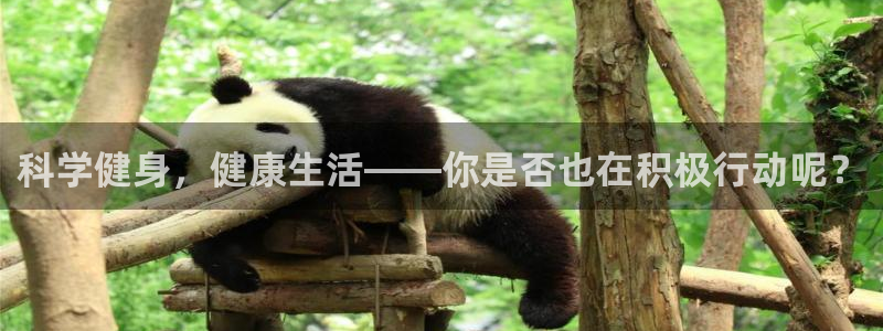 谈球吧体育：科学健身，健康生活——你是否也在积极行动呢？