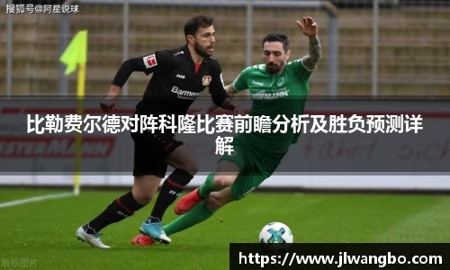 必博BIBO