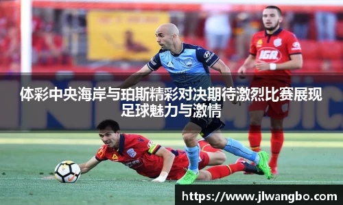 必博BIBO